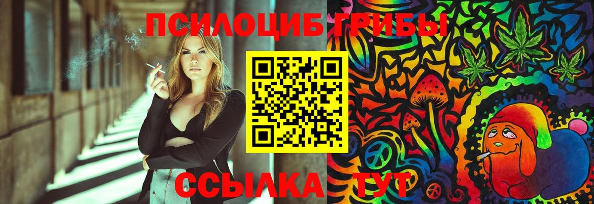 Галлюциногенные грибы GOLDEN TEACHER  как найти закладки  Вход с VPN  Ефремов  Галлюциногенные грибы прущие грибы 